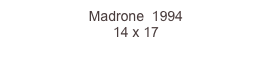 Madrone  1994
14 x 17  
