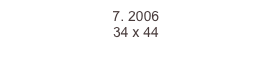 7. 2006
34 x 44  
